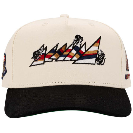 PANTHERS 'BACK2BACK' CHAMPS HAT