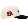 PANTHERS 'BACK2BACK' CHAMPS HAT